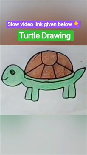 Tortoise easy drawing || How to Draw a Tortoise step by step || Simple Tortoise Drawing Colouring