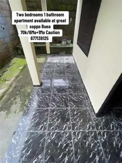 Agent Menu PTG on TikTok