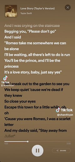 Taylor Swift Love Story - Lyrics and Music Video Compilation