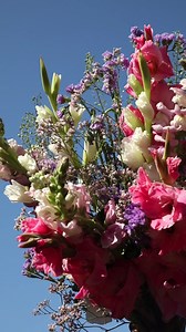 Gladioli clear skies = heart eyes 😍 | Bloom & Wild