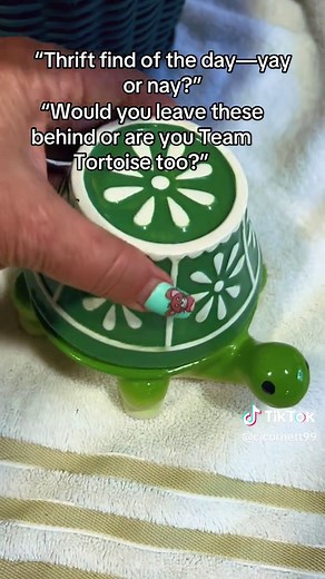 Adorable Thrift Store Tortoise Measuring Cups