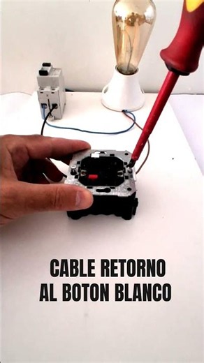 La conexión REAL de un interruptor: fase y retorno explicado fácil ⚠️⚡