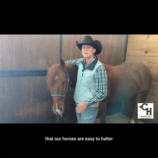 27 reactions | Are You Tying Your Rope Halter Correctly? A rope...