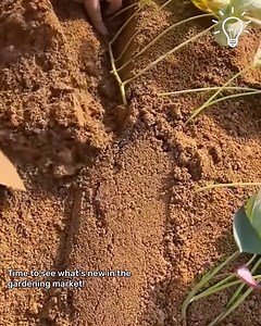 115K views · 215 reactions | The Best Gardening Tools ‍ | Things Easier | Facebook