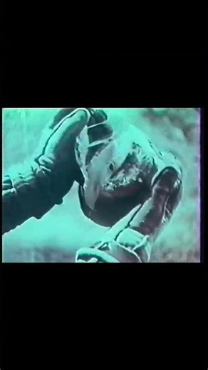 You Won't Believe What's Inside!