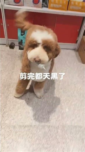 Extreme Body Art: The Shocking Truth Behind My Hand-Cut Tattoo Transformation