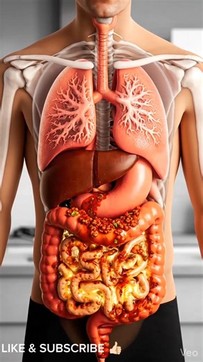 Spicy Mapo Tofu Digestion Process | Inside the Stomach & Intestines #shorts