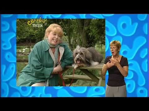 Come Outside - Geese (1994,Signed)