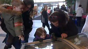 Winnipeg farmers' market offers one-day taste of summer