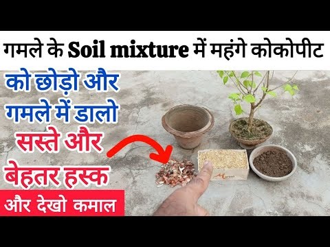 Benefits of husk in soil mixture in place of cocopeat (use of straw in potting soil) #gardening