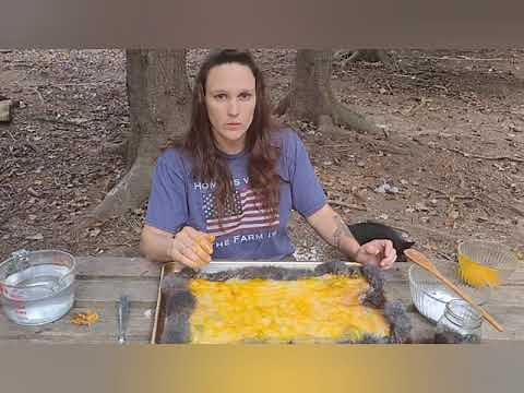 Salt and Egg tanning for rabbit hide#homestead #rabbit #mamawarrior