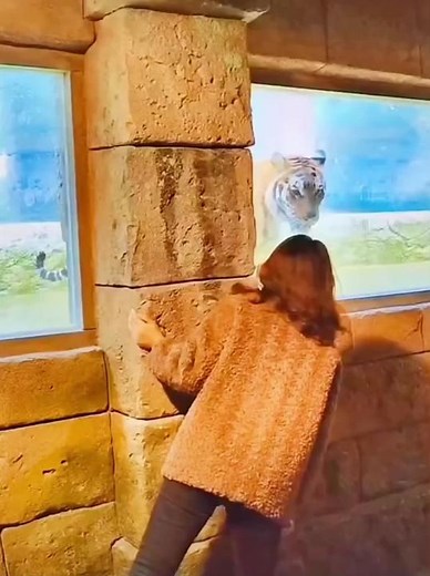 Explore Fascinating Animal Behavior at the Zoo