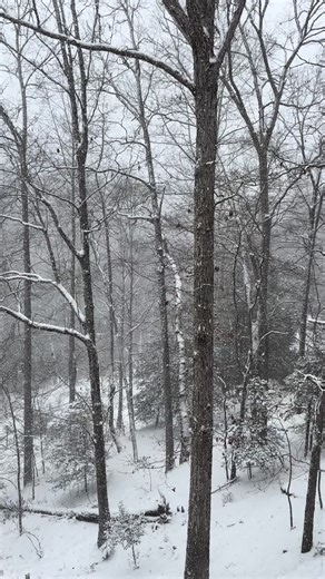 View From The Porch #snow #snowstorm #nature #scenicview #georgia