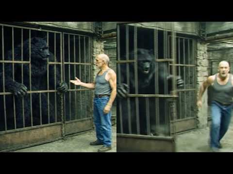 He Was Hired to Watch DOGMAN, What Happened Next Will Shock You...