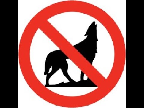 Cài Better Than Wolves cho TLauncher + Cài Java 17