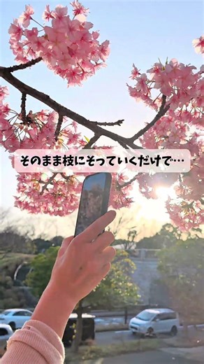 スマホでワンカット動画を撮る方法 #iphoneカメラ #iphone撮影 #スマホカメラ