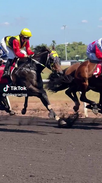 Thoroughbred Horse Racing Highlights and Edits