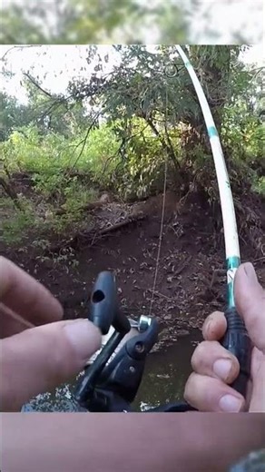 surprise catch in a ditch