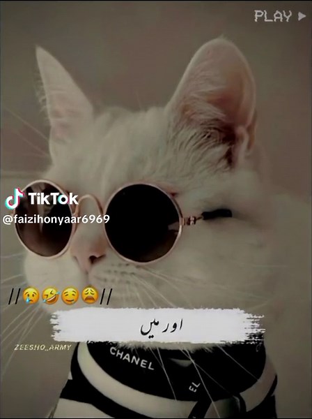 Funny Poetry Videos for Girls | Zeesho Army Comedy Shayari