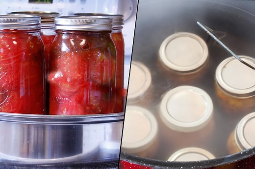 Steam Vs Water Bath Canning: Which Is Better?