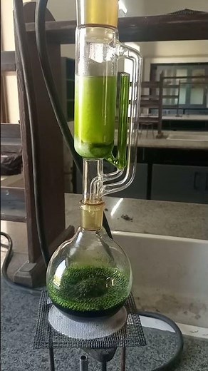 Soxhlet Extraction demonstration