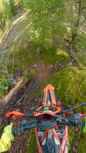 40 reactions | Fall colours in full splendour today on these moss covered rolling hills. Vancouver Island in October. | David Baumann | Facebook