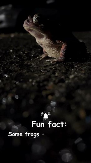 Fascinating Frog Facts for Kids 🐸 | Fun & Unique Things About Frogs | LittleChamp Learning