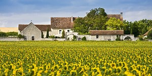 The Best French Cheeses From Five Regions