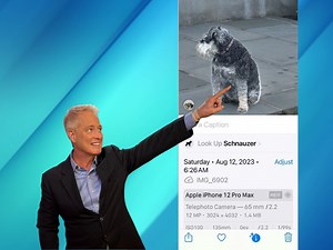 How to use the ‘Visual Look Up’ feature on iOS 17 to find information easily - CyberGuy