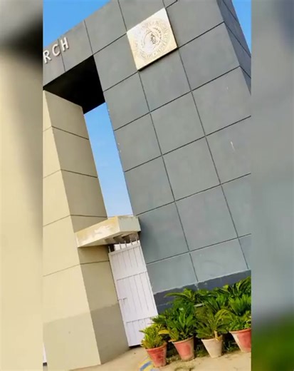 Understanding Creator Search Insights: A Deep Dive