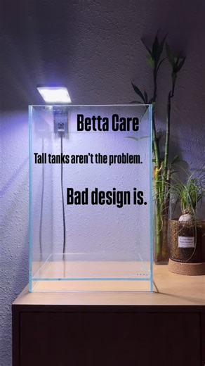 The Fish Connection | This is about bettas 🐠 Tall tanks aren’t the problem. Poor structure is. Bettas don’t need shallow aquariums. They need: – easy access to... | Instagram