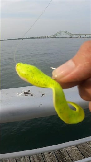 How to Rig Any Grub Twister Tail or Gulp Bait #howtofishing #gulp #grub #bait #fishingtechniques