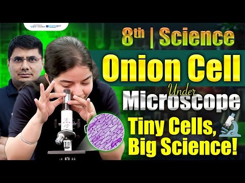 Onion Cells Under Microscope Experiment | 8th Class Biology Experiments