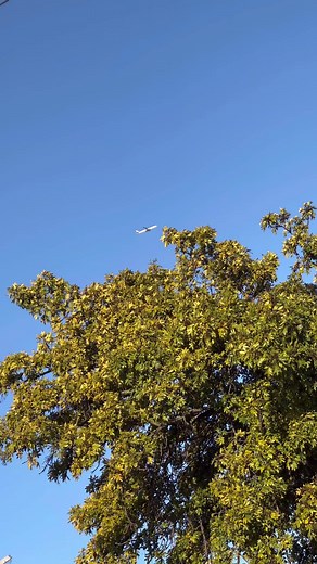 7.6K views · 178 reactions |  | Scene Points _SA | Facebook