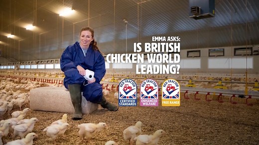 What's it like on a chicken farm in the UK? Red Tractor farmer Ed shows us how he cares for his animals and what goes into keeping them happy and healthy 🙌 Find out more: http://ow.ly/JYpU50BYl5C | Back British Farming NFU