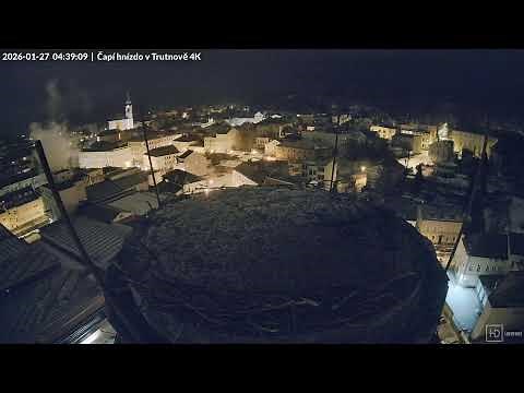 Živě z čapího hnízda na pivovarském komíně v Trutnově