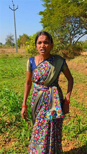 Dharmapuri Jagasandrapu on Instagram: "Buffalo parlour"