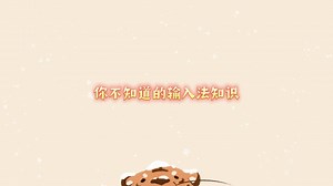 输入法常用知识－纠正单词错误／正常添加空格键