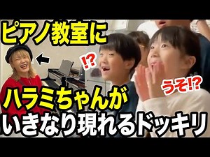 【ドッキリ】いつも通ってるピアノ教室に、ハラミちゃんが現れるドッキリしたら大変なことにw【音の自由区】