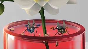 65K views · 745 reactions | An exotic beach villa with your own private pool? ‍♂️‍♀️ Mozzies love it too! Containers such as pails and vases with stagnant water are often favourite breeding spots for mozzies. Watch the video to find out how to keep them away. ⛔ Learn more at go.gov.sg/mozzieproof #DenguePrevention #StopDengueNow | NEA Stop Dengue Now | Facebook