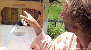 15K views · 387 reactions | One of the joys of using Flow™ Frames is the ability to easily collect honey from a single frame. It's amazing how much the flavour and colour of the honey can vary within one hive. | Flow Hive | Facebook