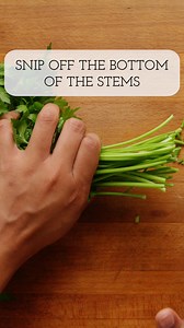 2.5K views · 26 reactions | Have you ever had trouble keeping fresh herbs fresh? This super easy trick keeps fresh herbs useable for a couple of weeks. Learn more: https://bit.ly/3pdakY6 | Simply Recipes | Facebook