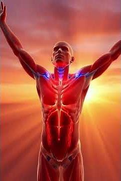 Why Your Body Gets Stiff Every Morning | The Hidden Science Explained (3D Anatomy)
