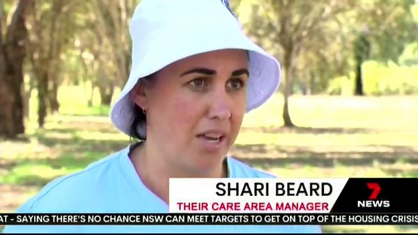 4.5K views · 50 reactions | Local holiday programs are participating in a state wide study on intergenerational connection. The 'Generation Connection' program unites our community's youngest members with some of their eldest. #7NewsRegional #7NewsRiverina | 7NEWS Riverina | Facebook