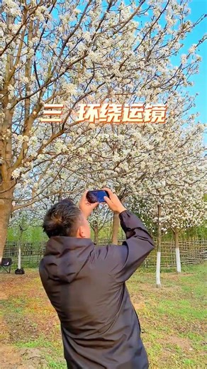 4 Easy Flower Photography Camera Moves for Your Phone