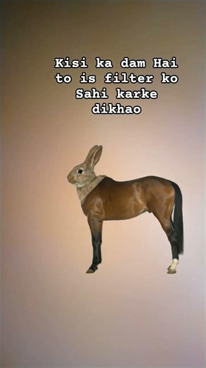 Hourse Tutorial #Tutorial #youtubeshorts #viralvideo #islamicshorts #islamicquotes #islamicvideos