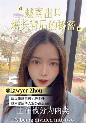 中国企业在越南的投资策略与分类