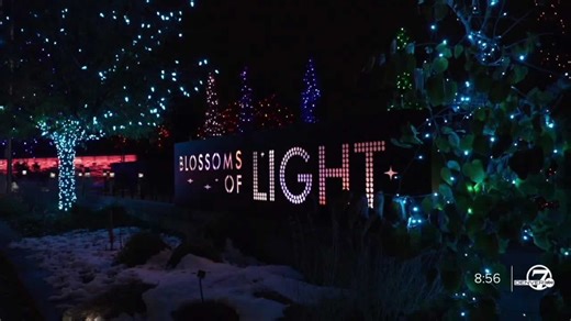 Meet the crew that makes Denver Botanic Gardens' Blossoms of Light holiday show brighter and better each year