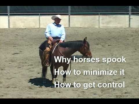 Training Horses that Spook, pt.1