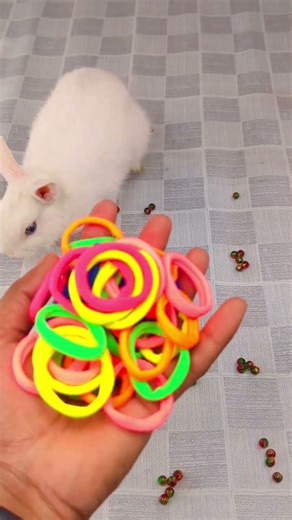 🐇✨ Satisfying Reverse 🌈 Video ASMR #satisfying #reaverse #viral #oddlysatisfying #shorts #asmr